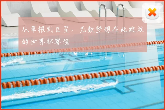 从草根到巨星，无数梦想在此绽放的世界杯赛场